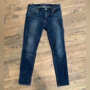 Articles Of Society Dark Blue Skinny Jeans